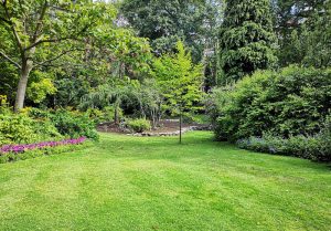 Optimiser l'expérience du jardin à Les Villards-sur-Thones